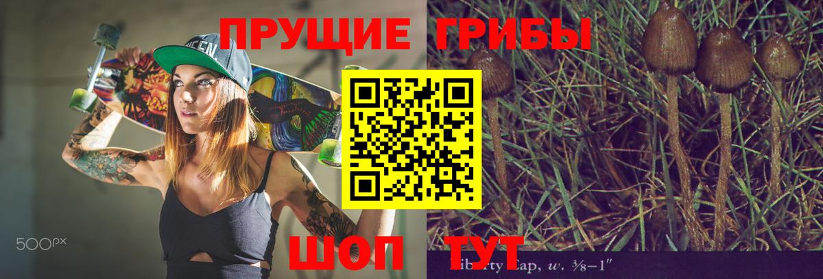 Рубцовск  Псилоцибиновые грибы мухоморы  Вход с VPN  дарнет шоп  Галлюциногенные грибы Psilocybe 